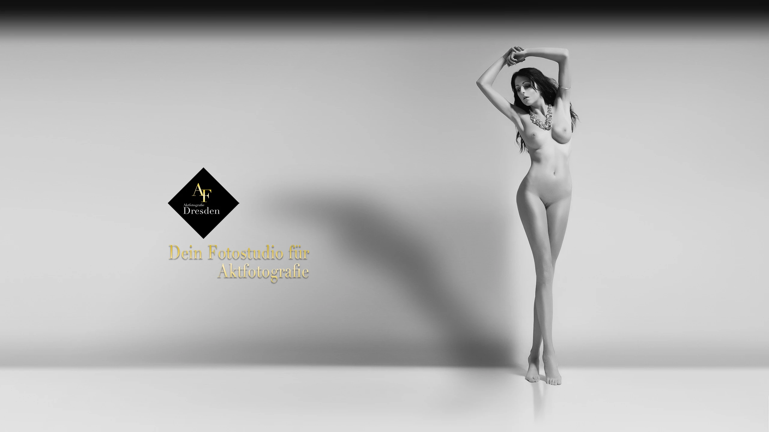 Aktfotografie Dresden